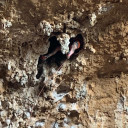 Il cacciatore di frane