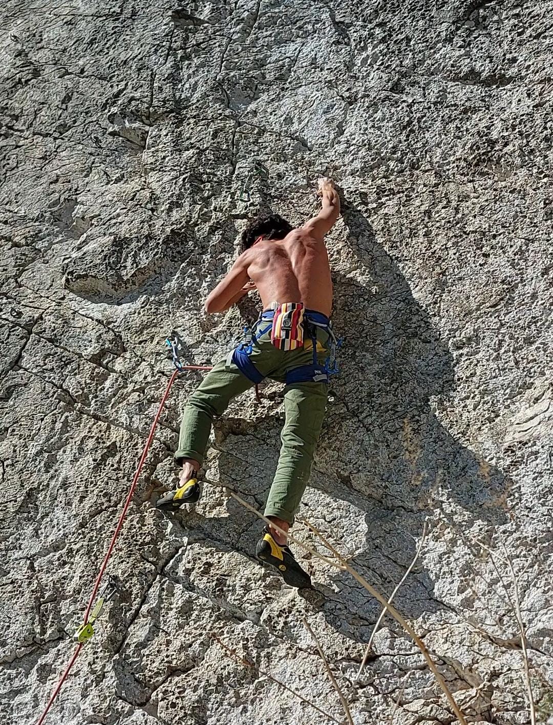 Andrea Boschi