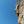 Sancia