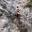 Vinyasaclimb