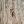 Falangi d’acciaio